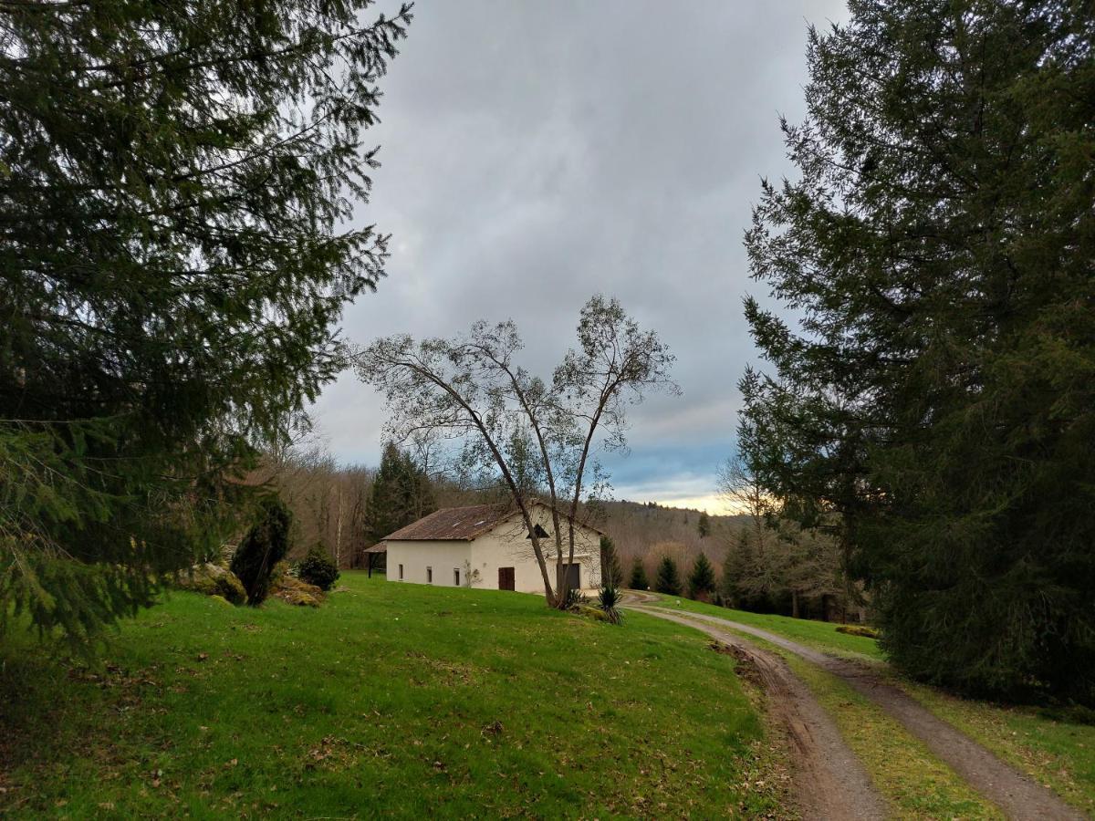 "Le Petit Bonheur" Gite Van 4 Tot 12 Personen Met Prive Vijver Van 2Ha Maisonnais-Sur-Tardoire Exterior foto