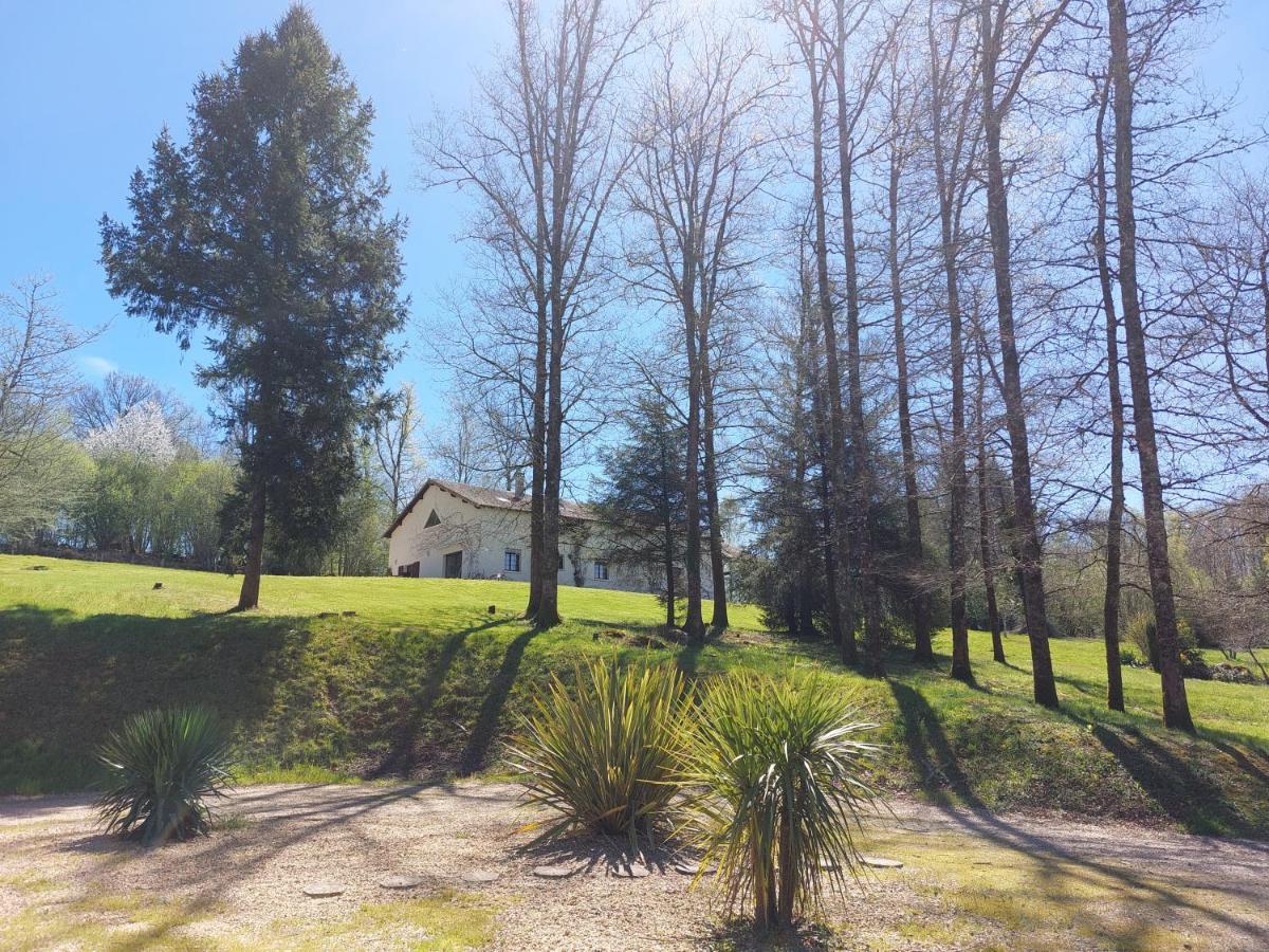 "Le Petit Bonheur" Gite Van 4 Tot 12 Personen Met Prive Vijver Van 2Ha Maisonnais-Sur-Tardoire Exterior foto