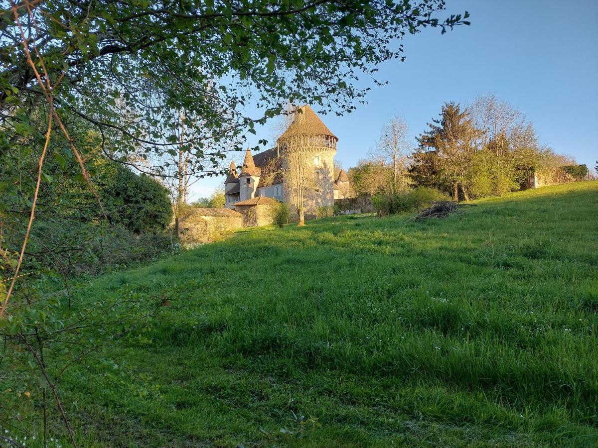 "Le Petit Bonheur" Gite Van 4 Tot 12 Personen Met Prive Vijver Van 2Ha Maisonnais-Sur-Tardoire Exterior foto