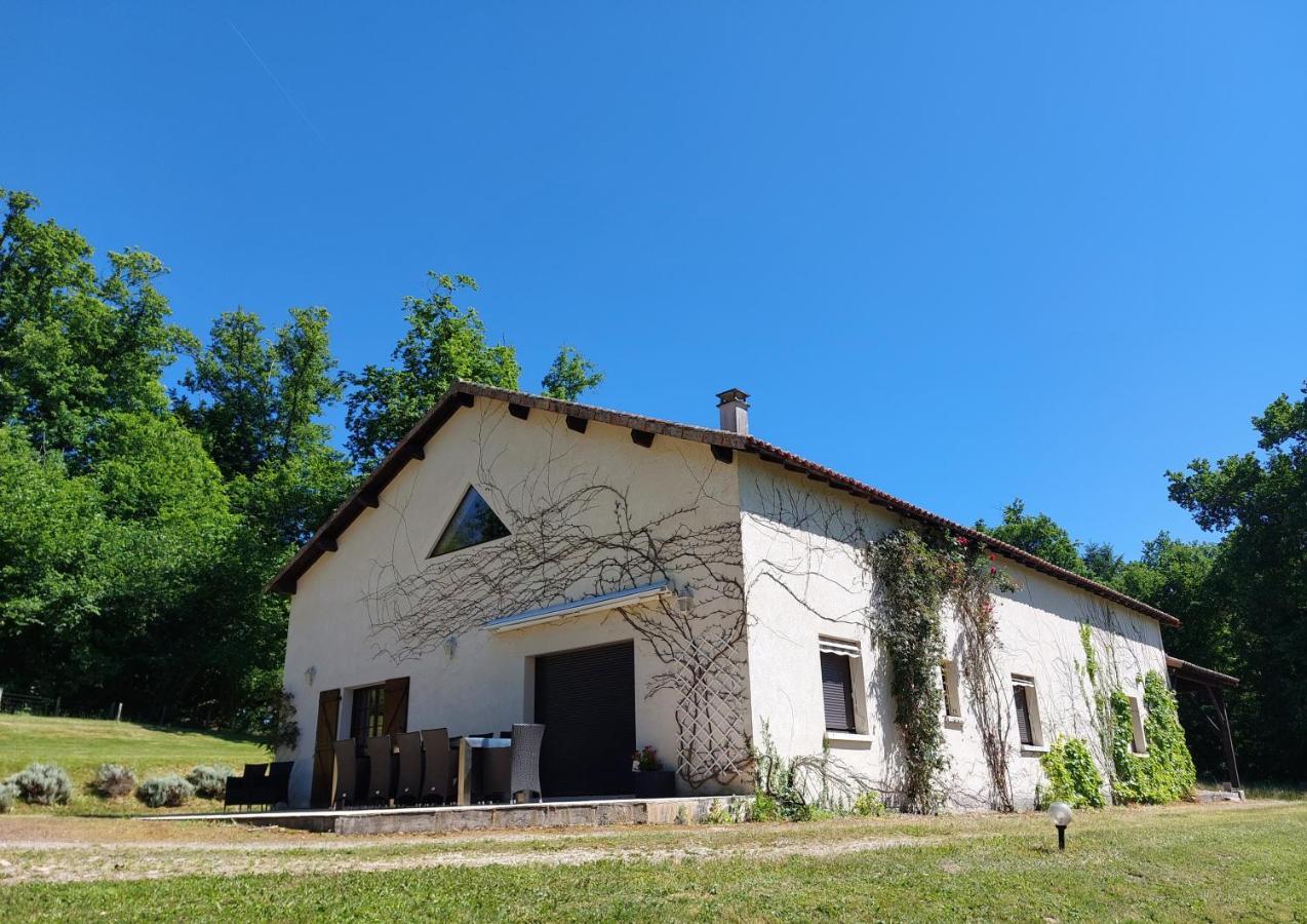 "Le Petit Bonheur" Gite Van 4 Tot 12 Personen Met Prive Vijver Van 2Ha Maisonnais-Sur-Tardoire Exterior foto
